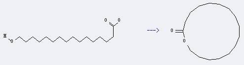 Uses of Hexadecanoic acid,16-hydroxy-: it can be used to produce oxacycloheptadecan-2-one